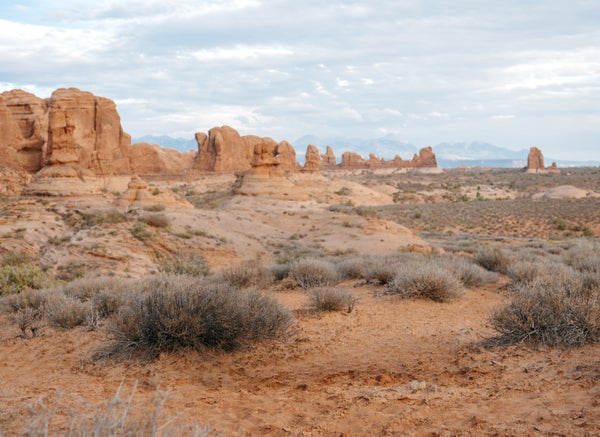 Moab Living, Real Estate Team
